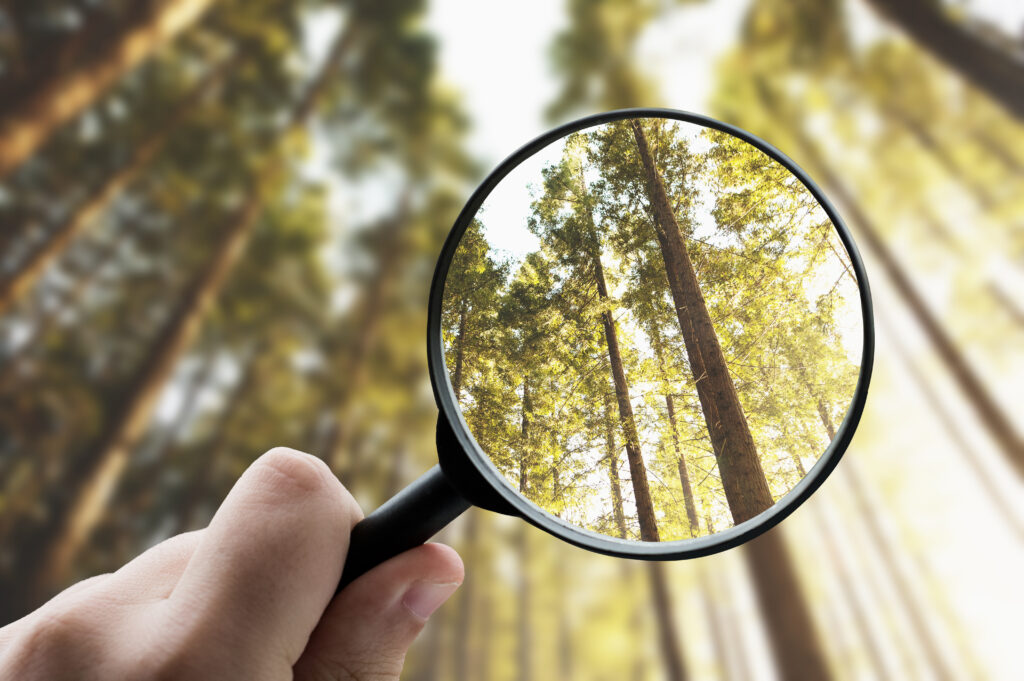 In praise of common sense, and of funders who ‘get it’